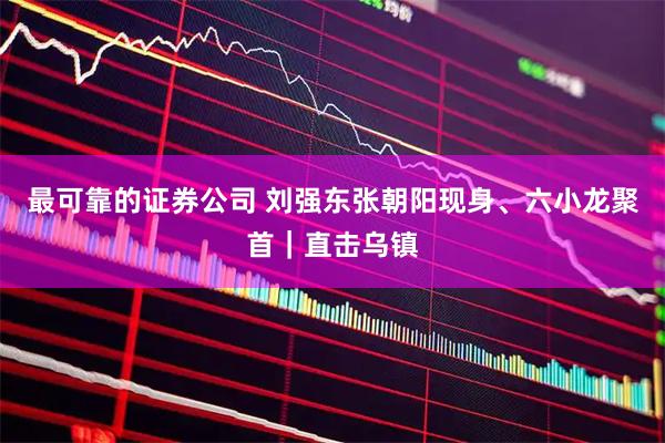 最可靠的证券公司 刘强东张朝阳现身、六小龙聚首｜直击乌镇
